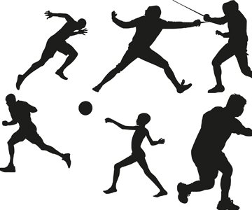 Faculty of sport